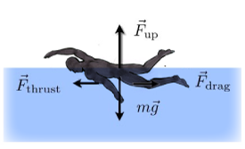 The physics of swimming